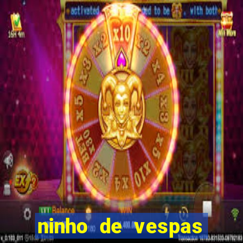 ninho de vespas significado espiritual